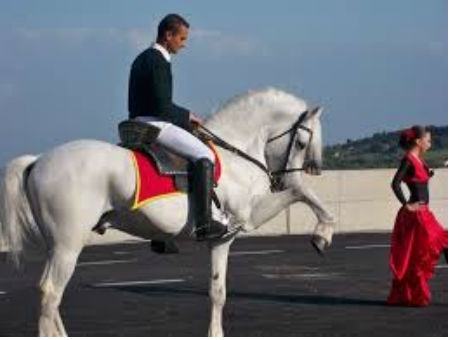 dc65de991deb1d1dd092e4c24cc31e36