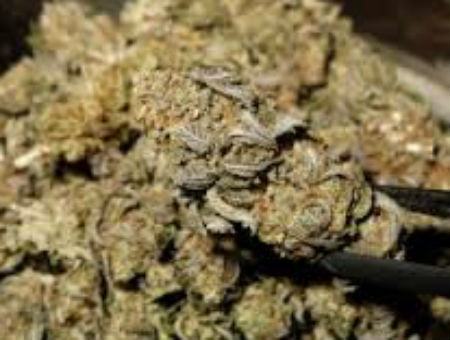 dc80c65de821f8c6a2287d5456ad5441