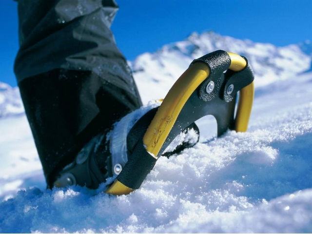 dcee2558cd29b9e08400469817a4a0d3