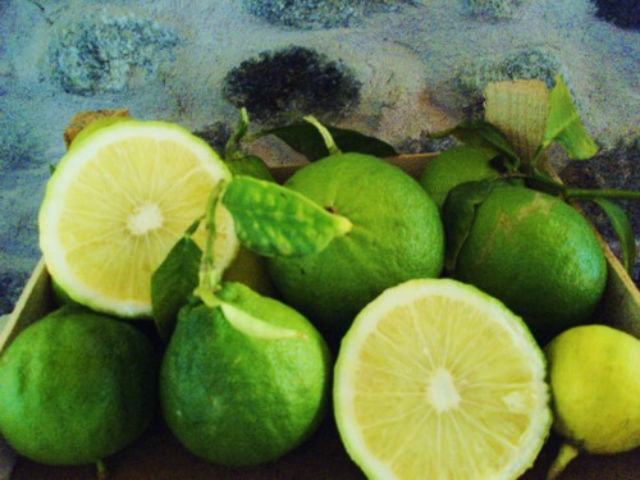 dd883c3dc241deb905703e1ba3950f94