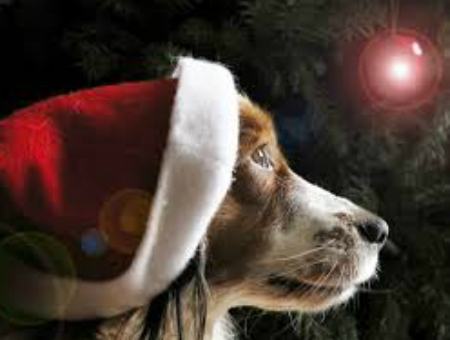 dd9def9280e5ba2484e40215a86682e0