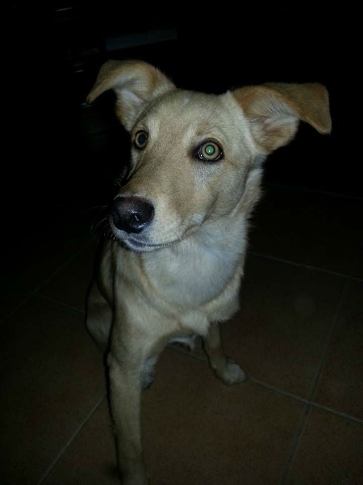 de15115c5b24ad91787ae706bf5914e9