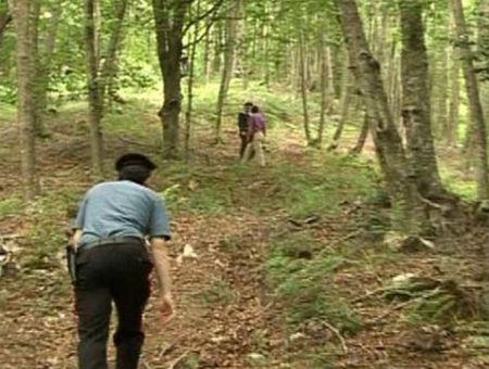 de49b53556d795c23c75f7f9ca322c02