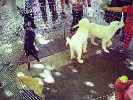 dee6fe1ae11cb392b98dfab0cdbf9825