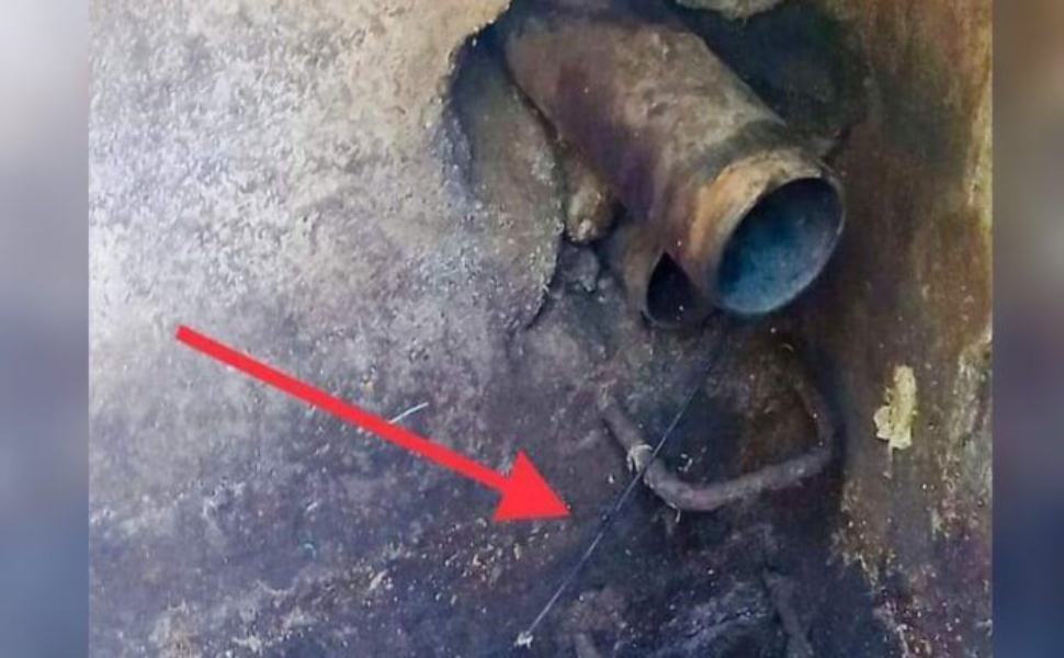 depuratore belvedere