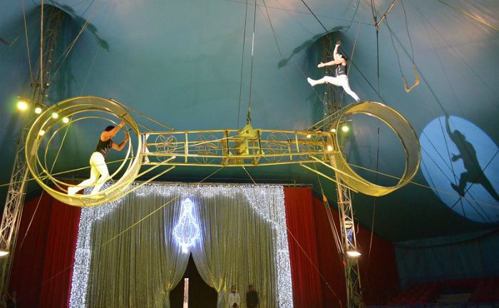 diavoli latina acrobati alla ruota