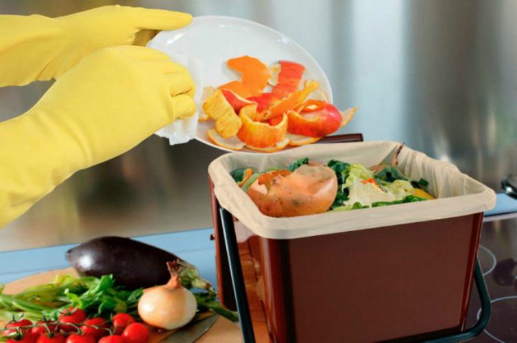 differenziata organico