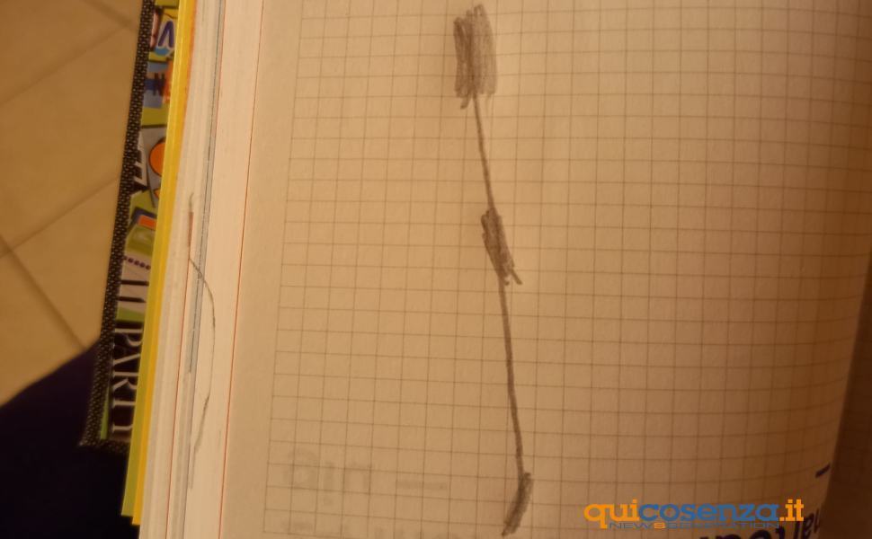 Il trauma dei bambini in era Covid: disegnano tamponi e virus 51 disegno tamponi bambini