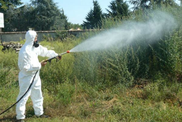 disinfestazione 2
