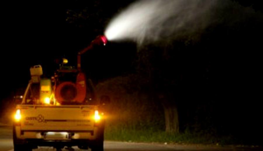 disinfestazione notturna 1