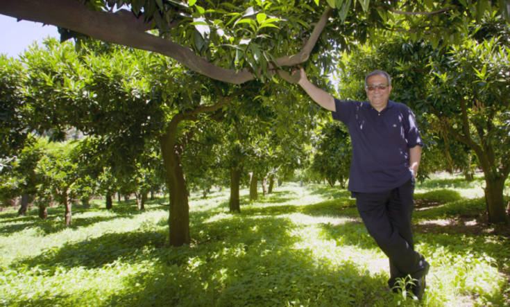 don pino de masi coop gioia tauro