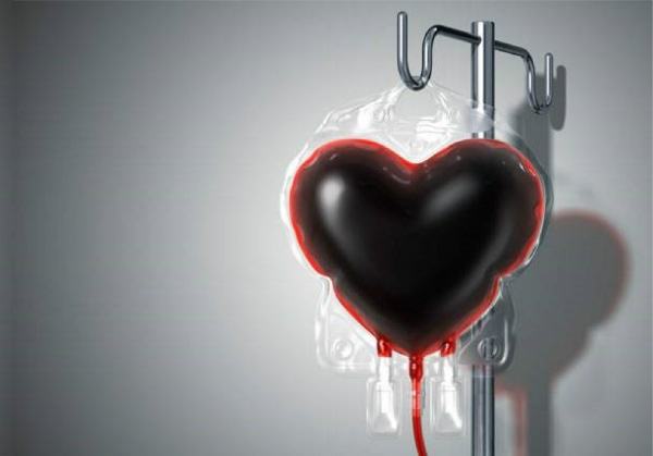 Carenza di sangue, l'Avis di Cosenza lancia l'appello: "I malati non vanno in vacanza" 51 donare sangue 2