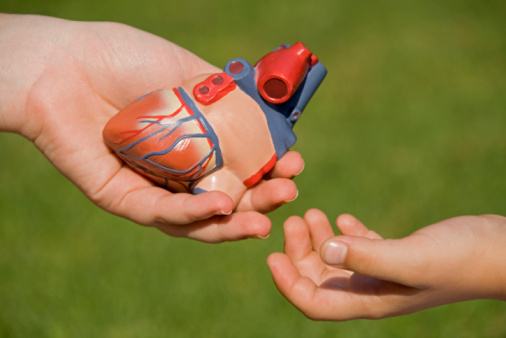 Società Italiana Trapianti d’Organo, luci e ombre sui trapianti. Le cifre della Calabria 53 donazione degli organi