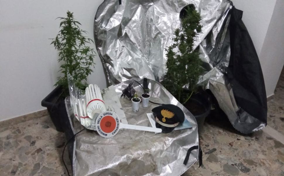 droga crotonese 3 22 9014e 1