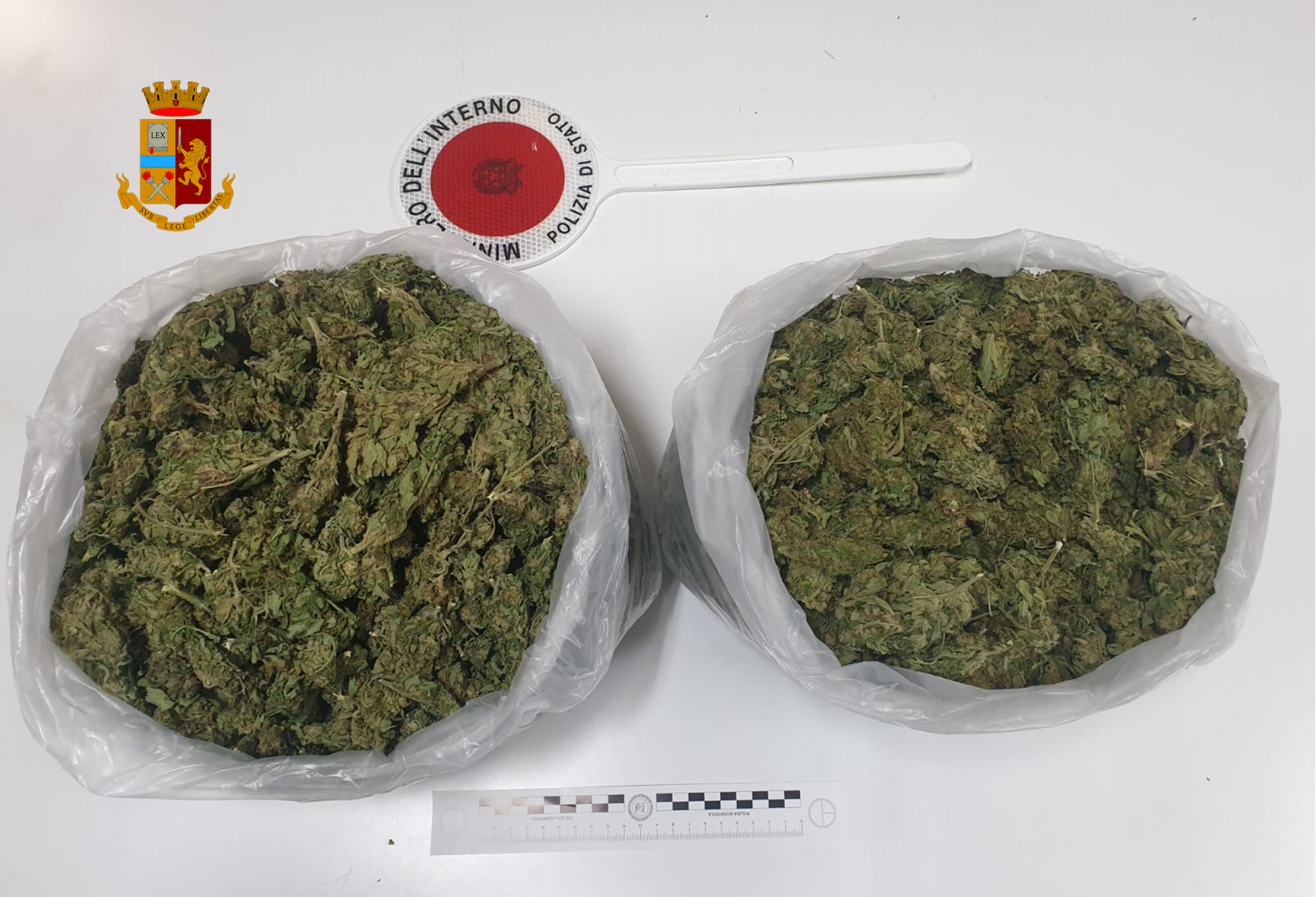 Sorpresi con 2 chili di marijuana in auto, arrestati a Corigliano-Rossano 68 droga marijuana corigliano rossano