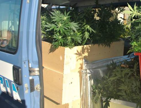 droga polizia canapa