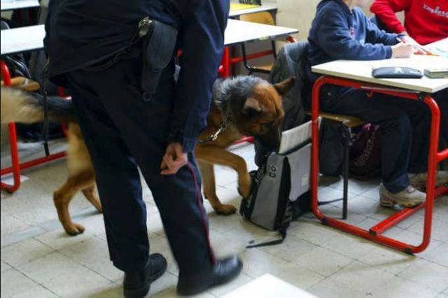 Stop alle droghe nelle scuole, forze dell'ordine mobilitate tra Cosenza e la provincia 59 droga scuole