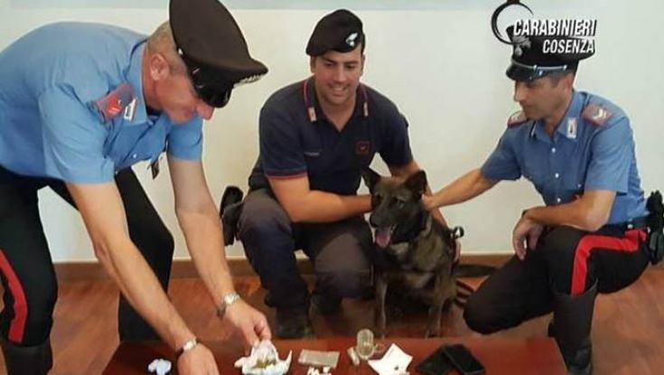 droga sequestro carab cosenza