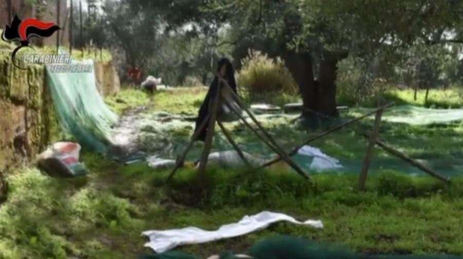 Coniugi uccisi, arrestato un parente. Possibile movente un terreno confinante 51 duplice omicidio calanna
