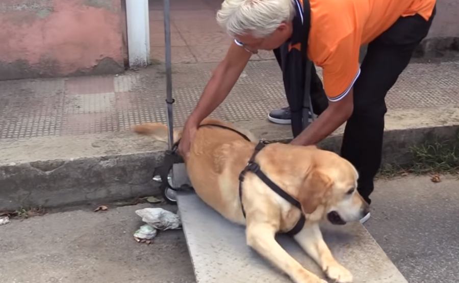 dylan e tonino vitale