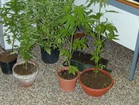 e0bf8bd87f3b68790964aa4a235884dd