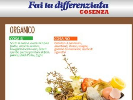 e116113d8076b17ce819a1a7d8968f0c