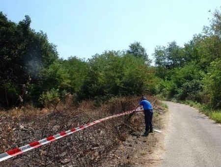 e14a123109946e9b4f7b2008a091ae4a