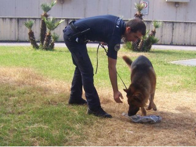 e22320c52c0d53b7baed397fbf0ee891