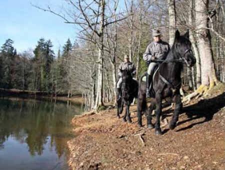 e3a04a2318a72126c14bf5ab9bc0515c