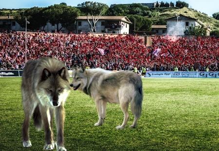 e41683eb483724def1e41e30704d591d