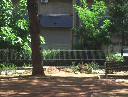 e450f530f076e77a275d585869d04606