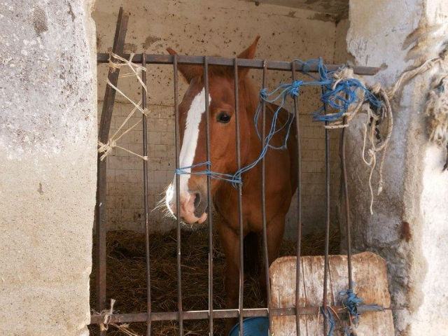 e4bad3e9eafe410439aaa9c0138e9515