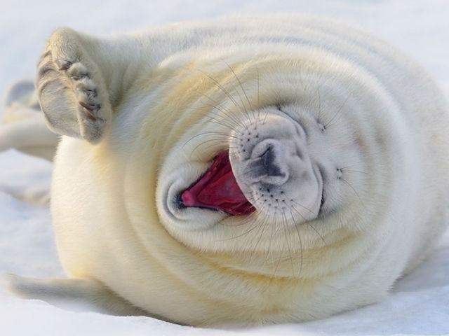 e50272f6029a472b68b725880201fb6c