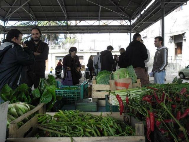 e520f9d433a514b9416a482f614ea6fd