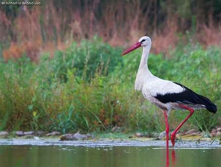 e5315d7c90b120e1c434c9aa26460a09