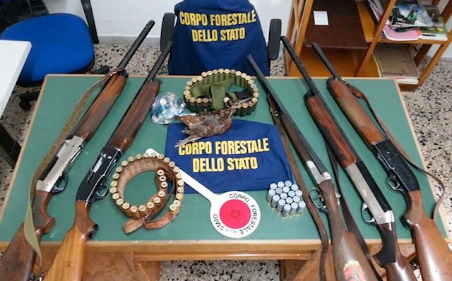 e74e502a9a69c41628c33873efbdf637