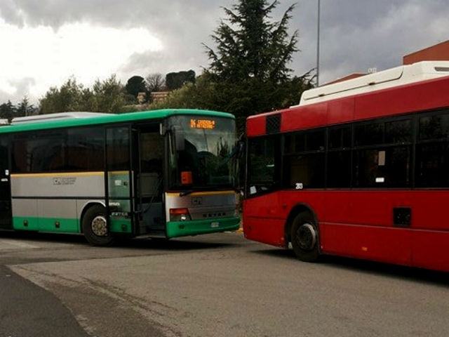 e79f9ab95a7e67afc0cee36b98399873