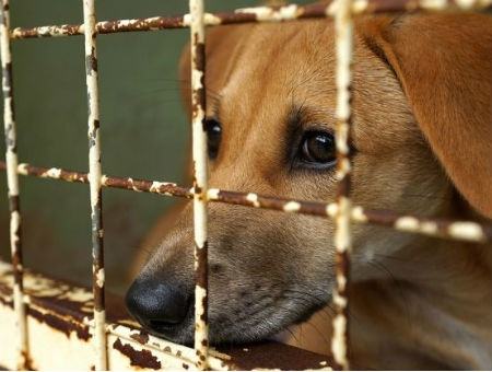 e7b2ea2eb0a6cb667b81a61cf3fb993a