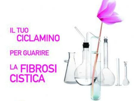 e7fc98ef2a407f5e2ea64a0ac2fbc2f2