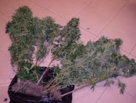 e87b29ab1477476324b0ec81b5af5ddc