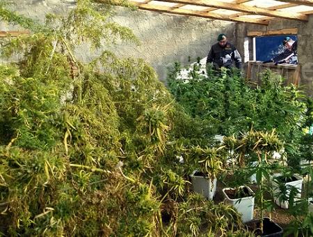 e8feda5759e169b6e2c96786b30b1950