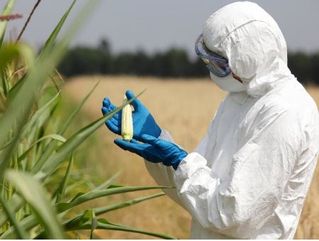 e901e732248a19c82d85703d6431dc9e