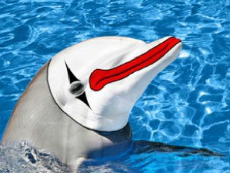 e94b72b69a70fe6827b4463a5056f567