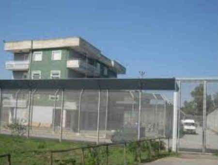 e957ef539752eb4135feefc10395f43e