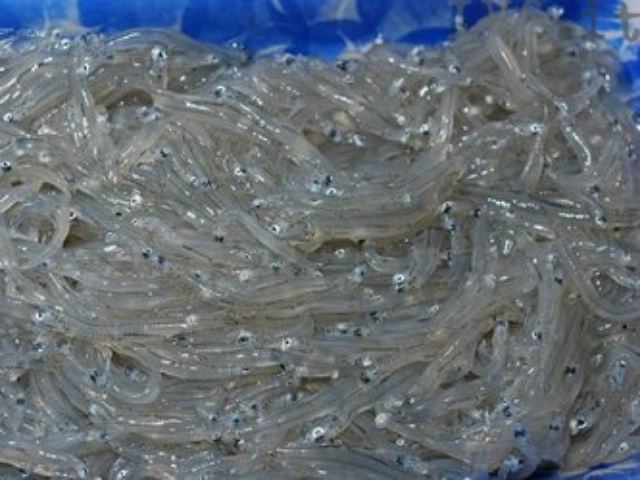 e99ccbfcd6755ddf21cb5bc4bc8a7921