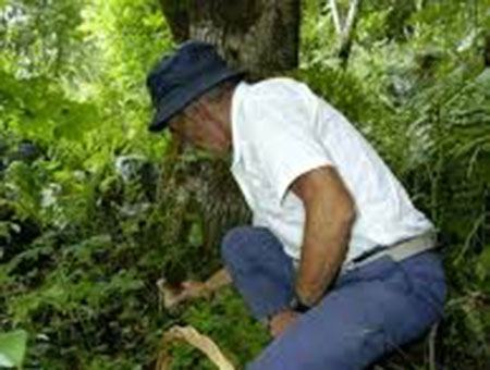 e9fcb8acde61eb494aab6368cbb53892