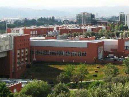 eb3f41b6e5b4c6ec777a389b4f335141