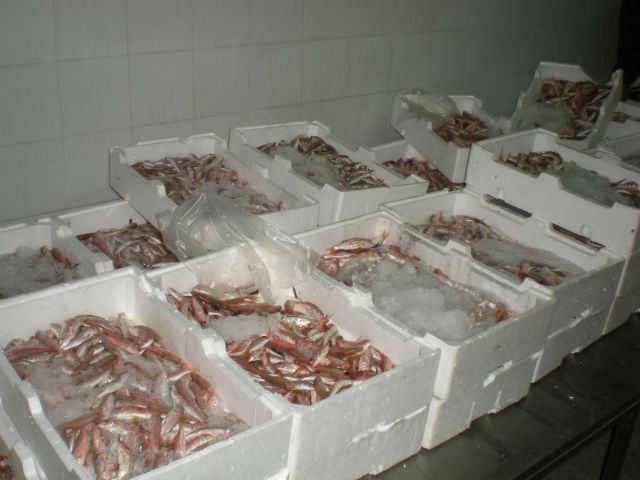 ebe49fe12436dbd54de8bf47b0c923e0