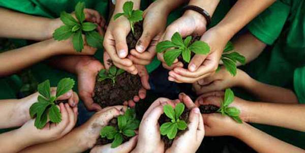 educazione ambientale materia scolastica