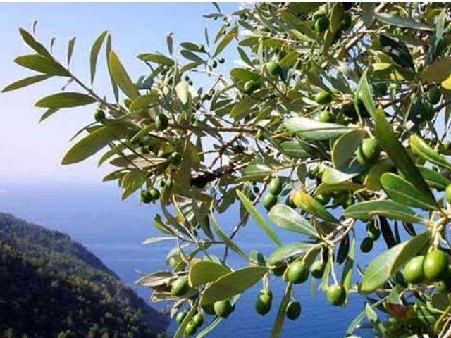 ee10ac96a408727892b2bb63a41cee6d